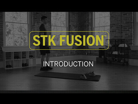 STK Fusion Intro Mike